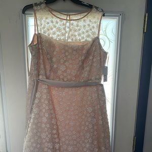 Spring/Summer Wedding guest dress Jessica Howard size 18W